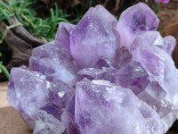 Natural Jacaranda Amethyst Quartz Cluster x 1 From Mumbwa, Zambia