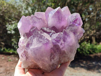Natural Jacaranda Amethyst Quartz Cluster x 1 From Mumbwa, Zambia