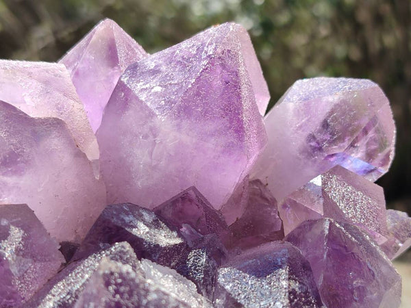 Natural Jacaranda Amethyst Quartz Cluster x 1 From Mumbwa, Zambia
