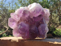 Natural Jacaranda Amethyst Quartz Cluster x 1 From Mumbwa, Zambia
