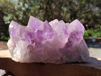 Natural Jacaranda Amethyst Quartz Cluster x 1 From Mumbwa, Zambia