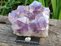 Natural Jacaranda Amethyst Quartz Cluster x 1 From Mumbwa, Zambia