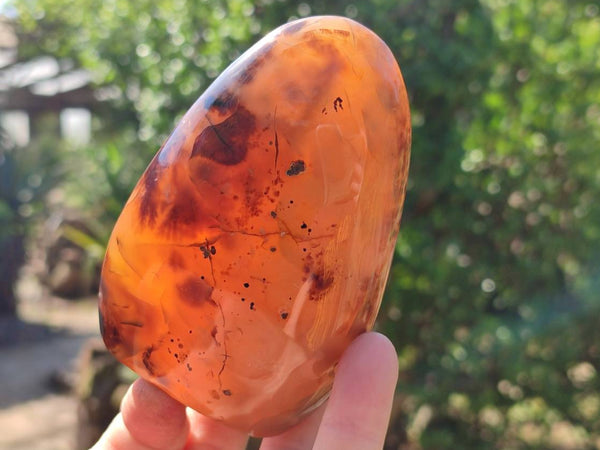 Polished Dendritic Agate Standing Free Forms x 3 From Moralambo, Madagascar