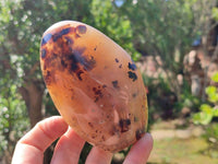 Polished Dendritic Agate Standing Free Forms x 3 From Moralambo, Madagascar