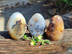 Polished Dendritic Agate Standing Free Forms x 3 From Moralambo, Madagascar - Toprock Gemstones and Minerals 