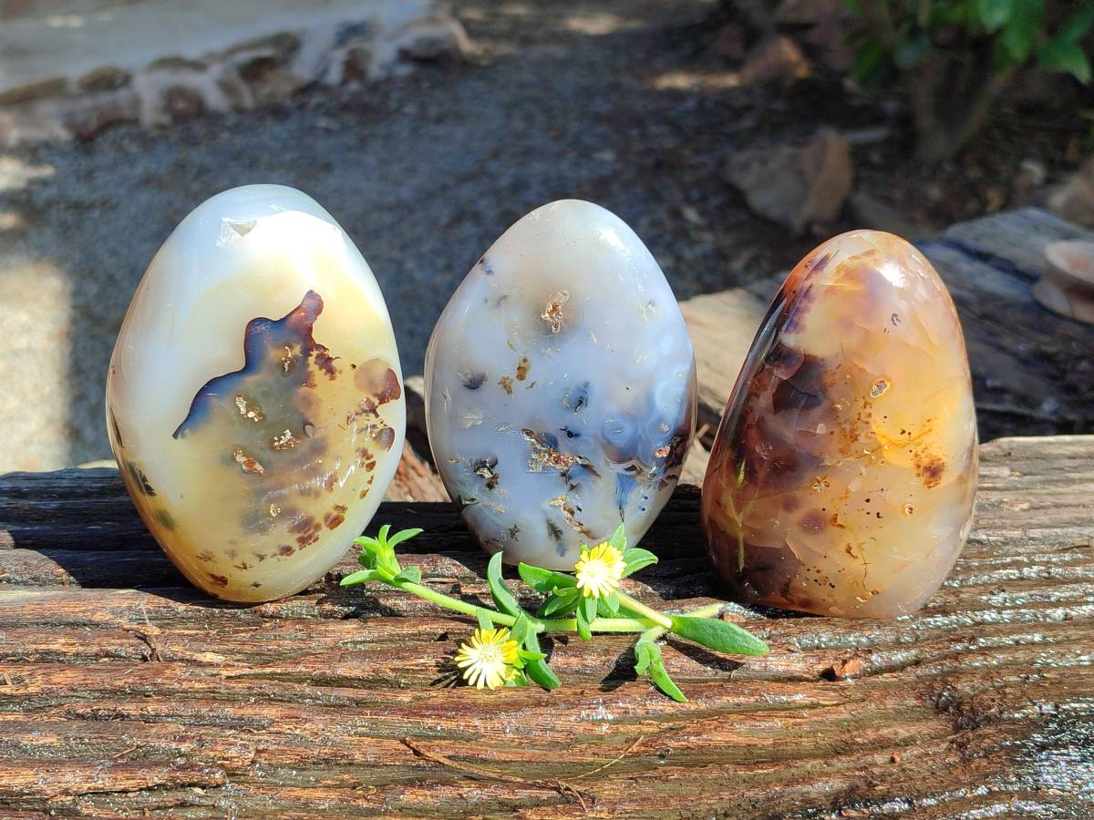 Polished Dendritic Agate Standing Free Forms x 3 From Moralambo, Madagascar - Toprock Gemstones and Minerals 