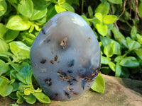 Polished Dendritic Agate Standing Free Forms x 3 From Moralambo, Madagascar