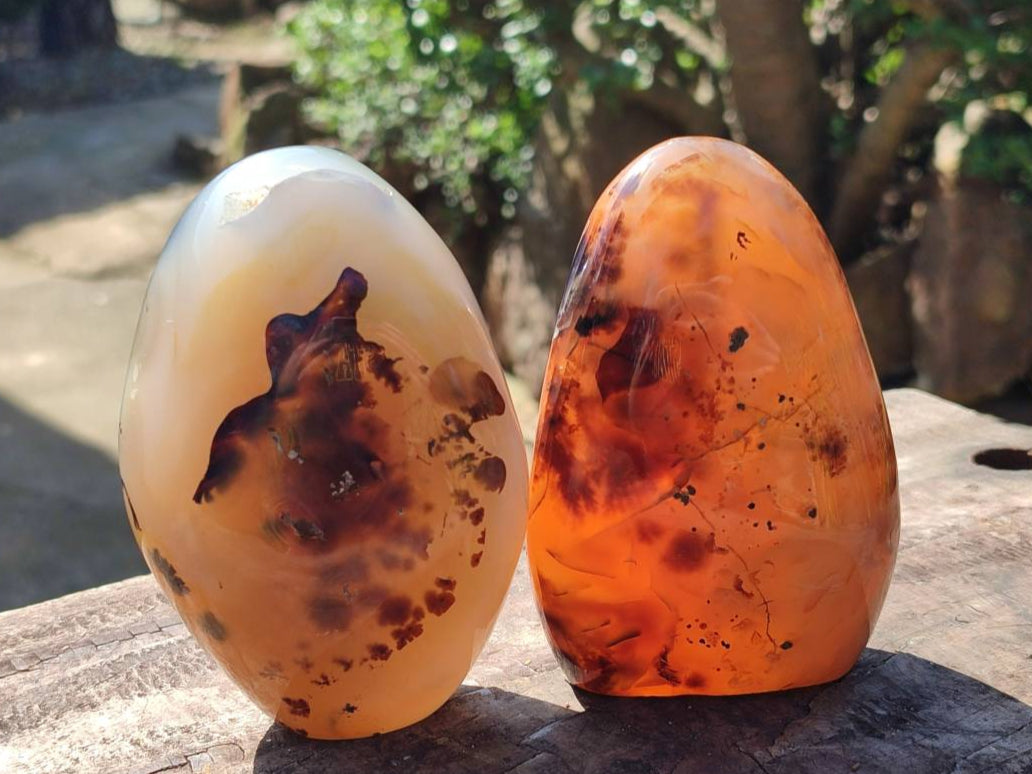Polished Dendritic Agate Standing Free Forms x 3 From Moralambo, Madagascar - Toprock Gemstones and Minerals 
