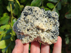 Natural Schorl Black Tourmaline with Mica x 2 From Erongo, Namibia - Toprock Gemstones and Minerals 