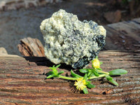 Natural Schorl Black Tourmaline with Mica x 2 From Erongo, Namibia
