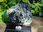 Natural Schorl Black Tourmaline with Mica x 2 From Erongo, Namibia - Toprock Gemstones and Minerals 