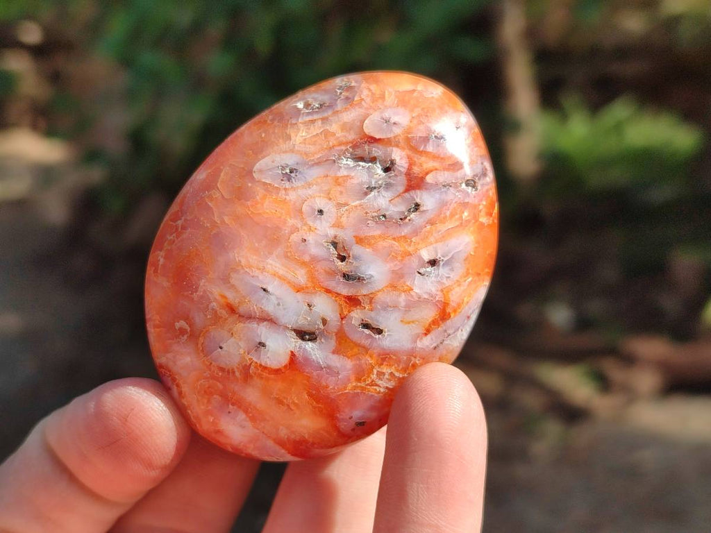 Polished Carnelian Agate Gemstone Galets x 20 From Madagascar - Toprock Gemstones and Minerals 