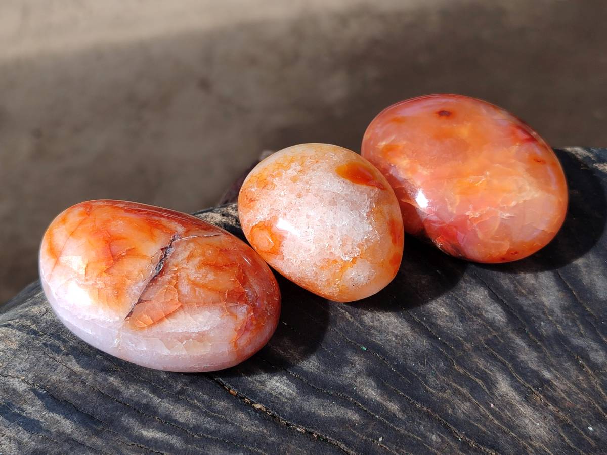 Polished Carnelian Agate Gemstone Galets x 20 From Madagascar - Toprock Gemstones and Minerals 