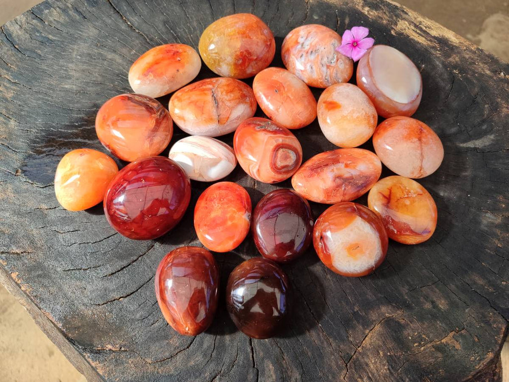 Polished Carnelian Agate Gemstone Galets x 20 From Madagascar - Toprock Gemstones and Minerals 