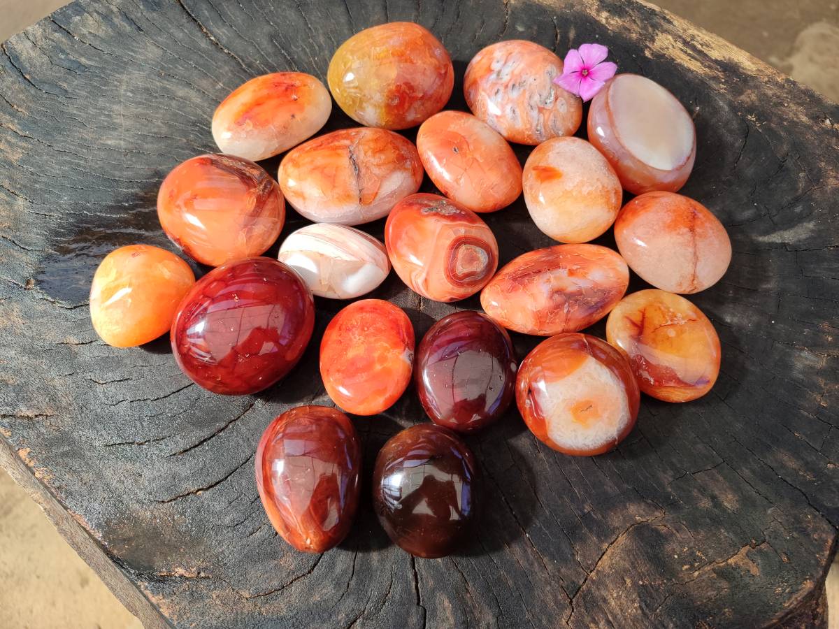 Polished Carnelian Agate Gemstone Galets x 20 From Madagascar - Toprock Gemstones and Minerals 