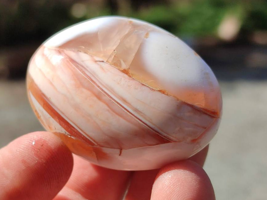 Polished Carnelian Agate Gemstone Galets x 20 From Madagascar - Toprock Gemstones and Minerals 