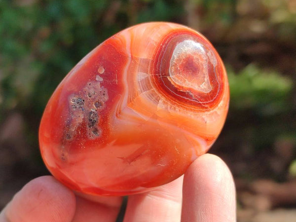 Polished Carnelian Agate Gemstone Galets x 20 From Madagascar