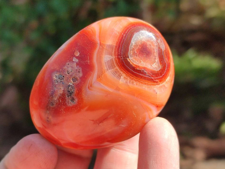 Polished Carnelian Agate Gemstone Galets x 20 From Madagascar
