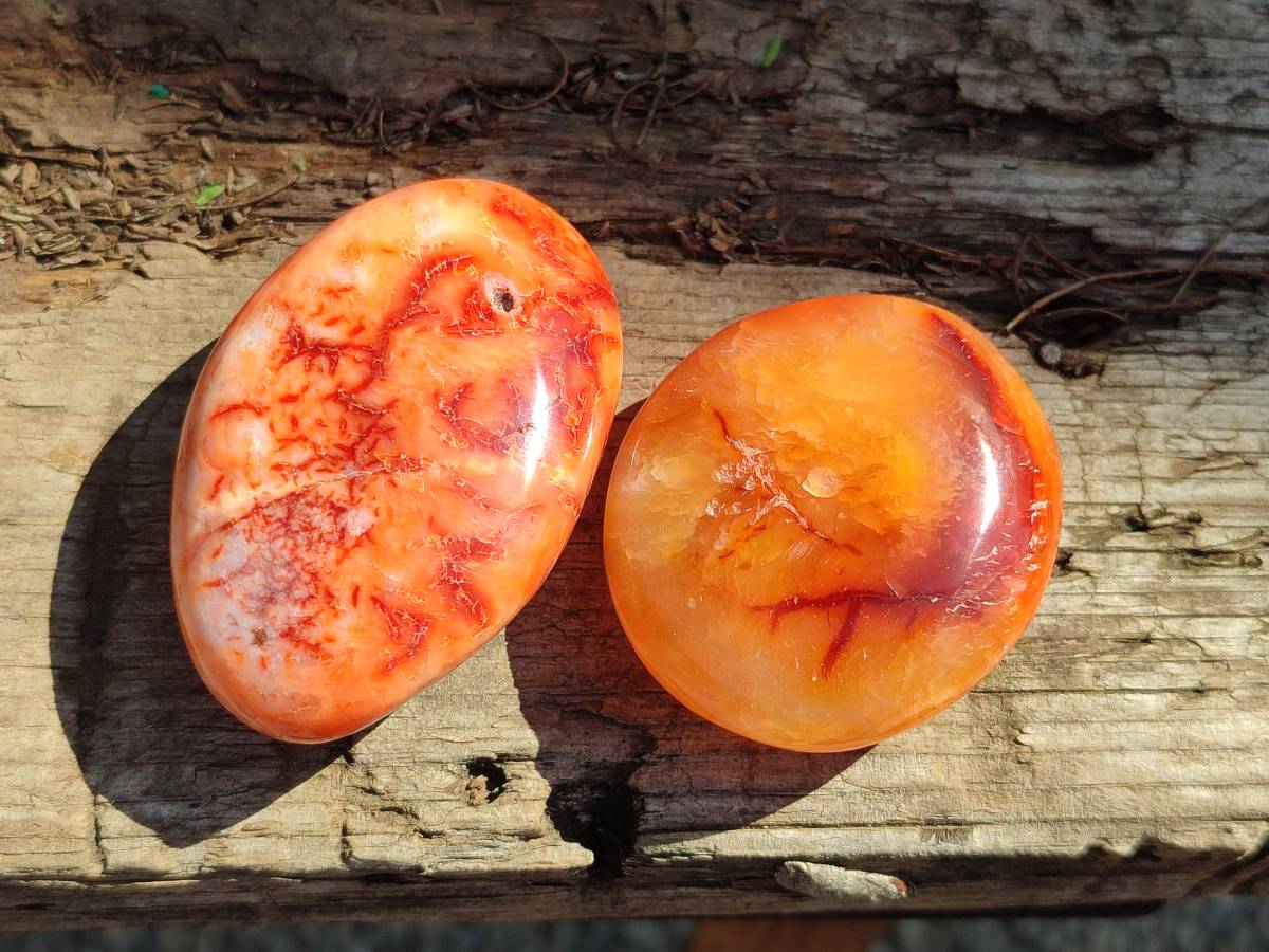 Polished Carnelian Agate Gemstone Galets x 20 From Madagascar - Toprock Gemstones and Minerals 