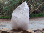 Polished Window Clear Quartz Crystal With Inclusions x 1 From Madagascar - Toprock Gemstones and Minerals 