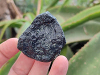 Natural Black Tourmaline Specimens x 2.73 Kg Lot From Zimbabwe