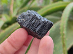 Natural Black Tourmaline Specimens x 2.73 Kg Lot From Zimbabwe - Toprock Gemstones and Minerals 