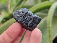 Natural Black Tourmaline Specimens x 2.73 Kg Lot From Zimbabwe