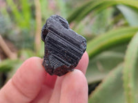 Natural Black Tourmaline Specimens x 2.73 Kg Lot From Zimbabwe