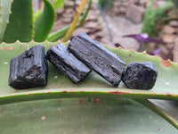 Natural Black Tourmaline Specimens x 2.73 Kg Lot From Zimbabwe