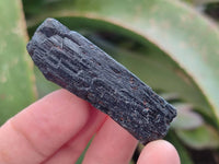 Natural Black Tourmaline Specimens x 2.73 Kg Lot From Zimbabwe