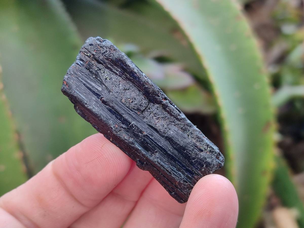 Natural Black Tourmaline Specimens x 2.73 Kg Lot From Zimbabwe - Toprock Gemstones and Minerals 
