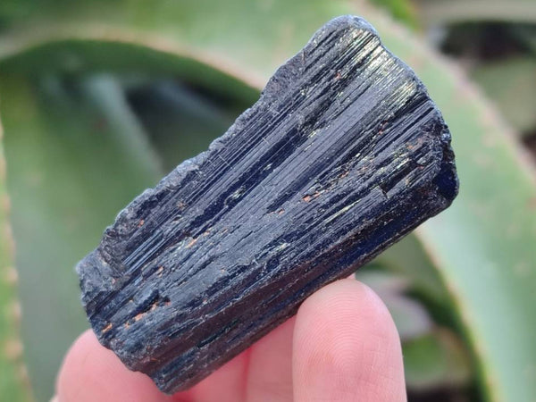 Natural Black Tourmaline Specimens x 2.73 Kg Lot From Zimbabwe