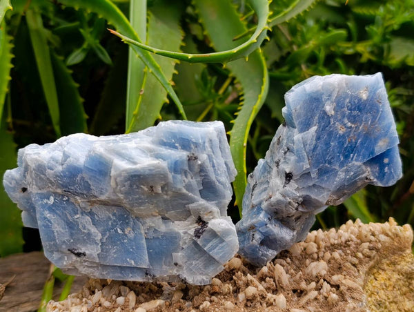 Natural New Sky Blue Calcite Specimens x 12 From Spitzkop, Namibia