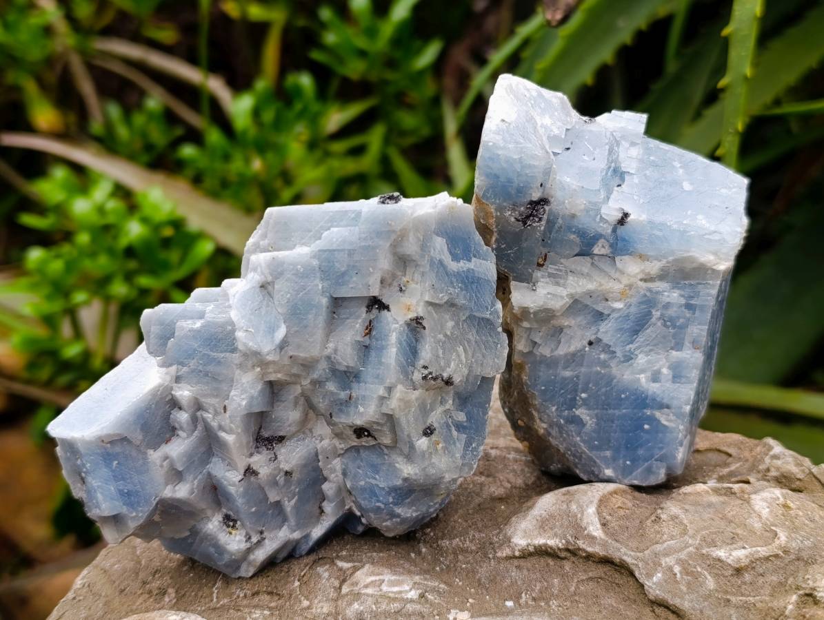 Natural New Sky Blue Calcite Specimens x 12 From Spitzkop, Namibia - Toprock Gemstones and Minerals 