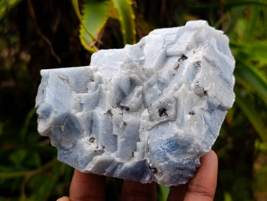 Natural New Sky Blue Calcite Specimens x 12 From Spitzkop, Namibia - Toprock Gemstones and Minerals 