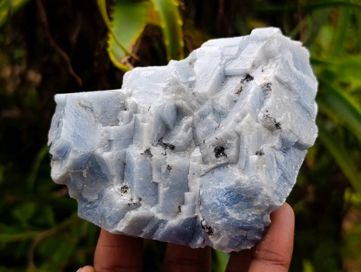 Natural New Sky Blue Calcite Specimens x 12 From Spitzkop, Namibia - Toprock Gemstones and Minerals 