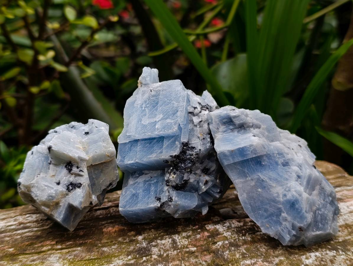 Natural New Sky Blue Calcite Specimens x 12 From Spitzkop, Namibia - Toprock Gemstones and Minerals 
