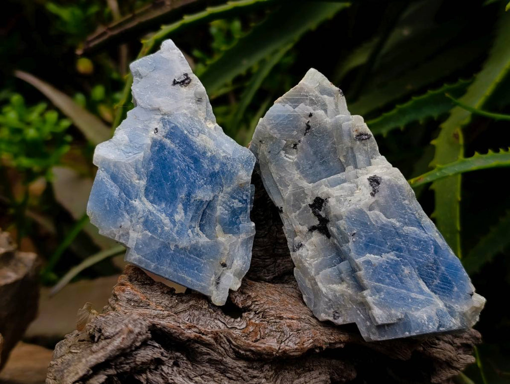 Natural New Sky Blue Calcite Specimens x 12 From Spitzkop, Namibia - Toprock Gemstones and Minerals 