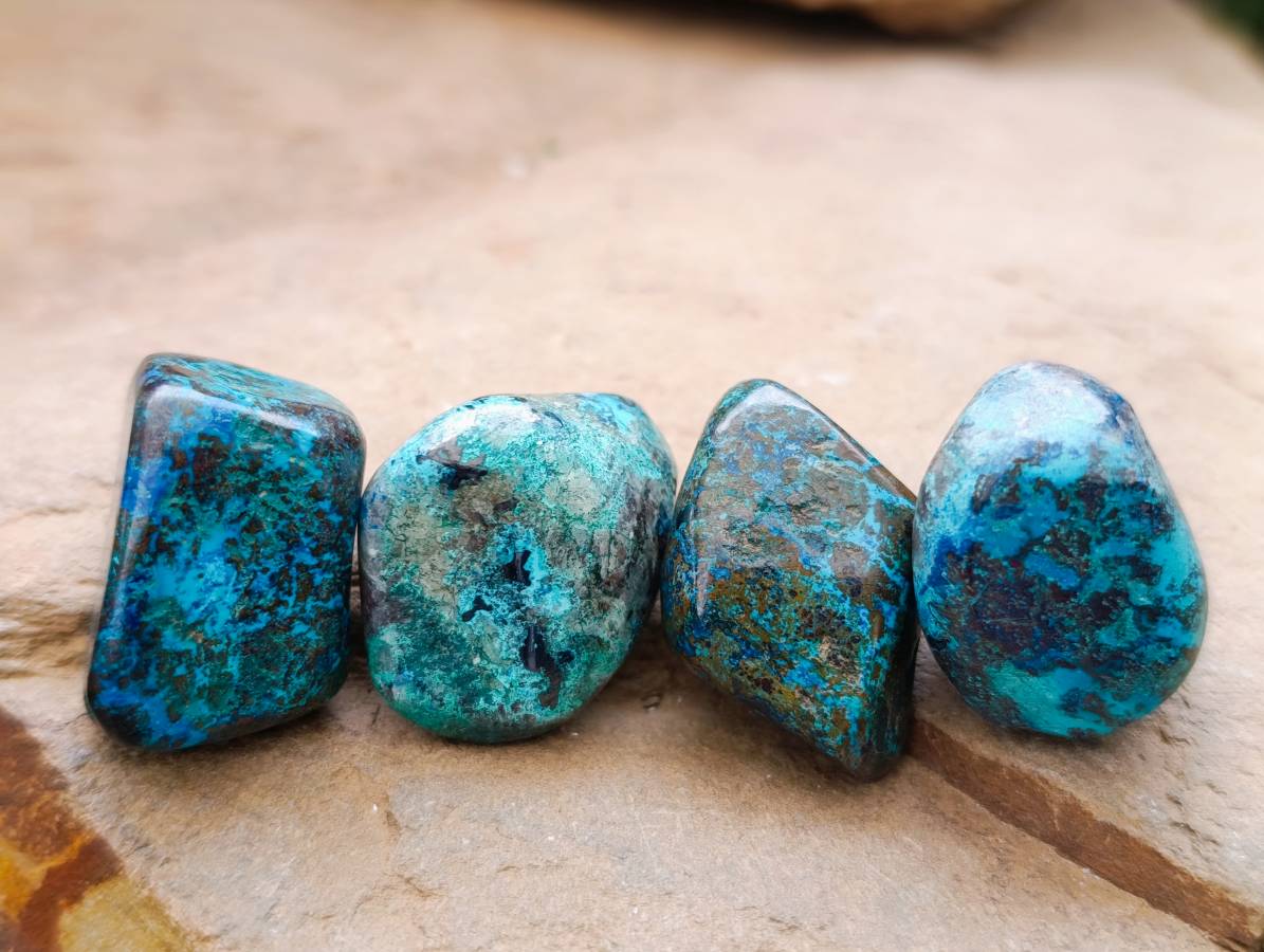 Polished Shattuckite Free Forms x 35 From Congo - Toprock Gemstones and Minerals 