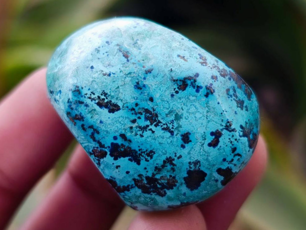 Polished Shattuckite Free Forms x 35 From Congo - Toprock Gemstones and Minerals 