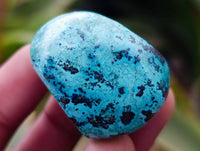 Polished Shattuckite Free Forms x 35 From Congo