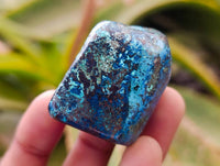 Polished Shattuckite Free Forms x 35 From Congo