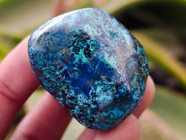 Polished Shattuckite Free Forms x 35 From Congo