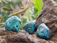 Polished Shattuckite Free Forms x 35 From Congo