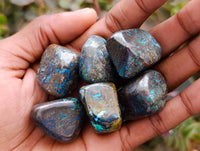 Polished Shattuckite Free Forms x 35 From Congo