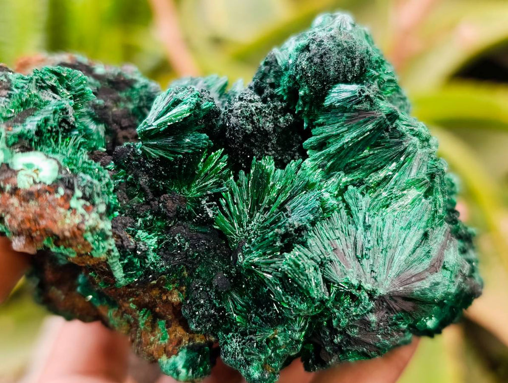 Natural Silky Malachite Specimens x 3 From Kasompe, Congo - Toprock Gemstones and Minerals 