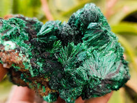 Natural Silky Malachite Specimens x 3 From Kasompe, Congo