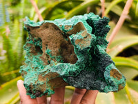 Natural Silky Malachite Specimens x 3 From Kasompe, Congo