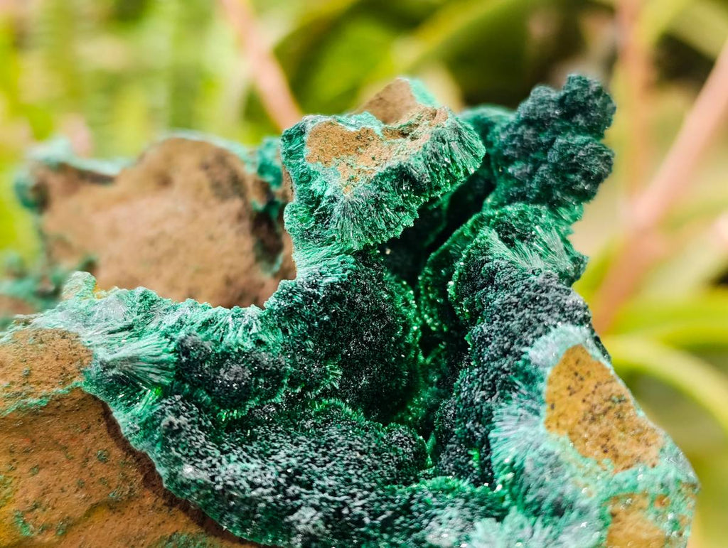 Natural Silky Malachite Specimens x 3 From Kasompe, Congo - Toprock Gemstones and Minerals 