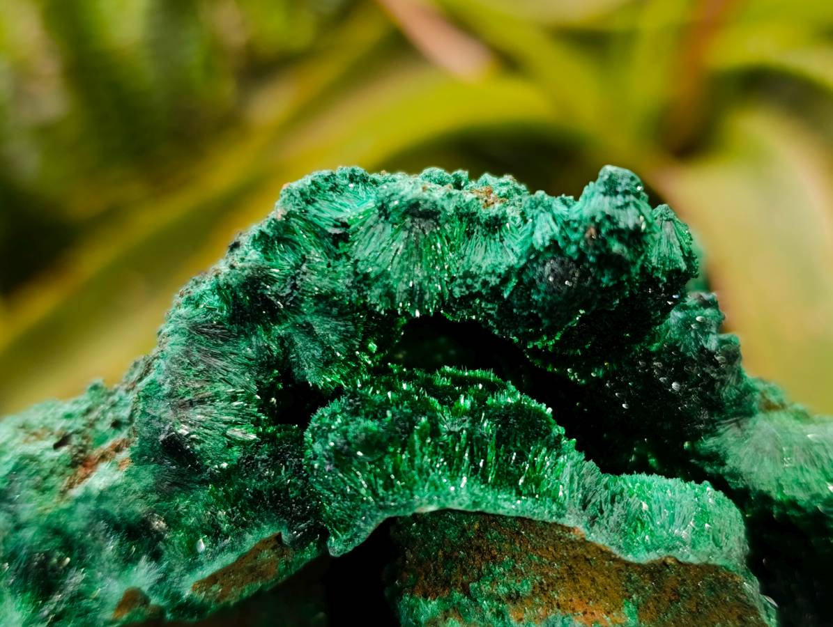 Natural Silky Malachite Specimens x 3 From Kasompe, Congo - Toprock Gemstones and Minerals 